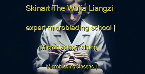 Skinart The Wujia Liangzi expert microblading school | MicrobladingTraining | MicrobladingClasses | SkinartTraining-China